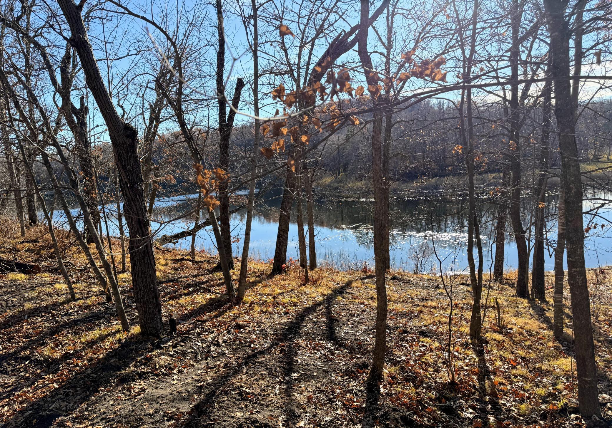 Tbd 330 Avenue Detroit Lakes, MN 56501 - Photo 8 of 13