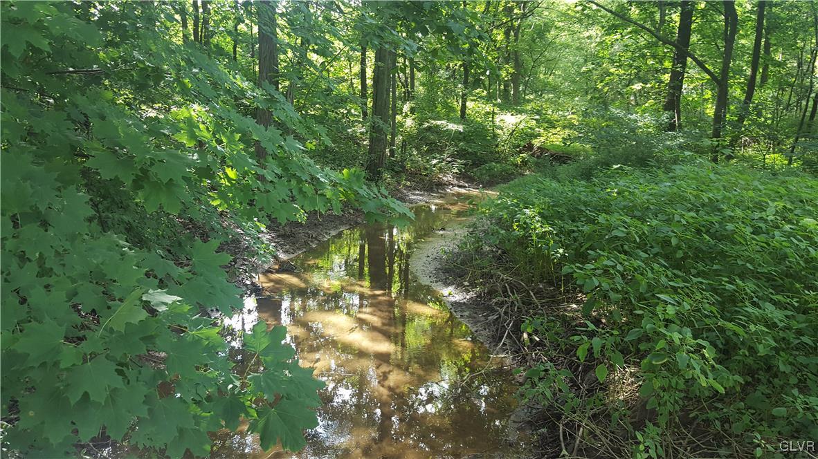 538 Bauer Road Bath, PA 18014 - Photo 7 of 25 a view of a forest