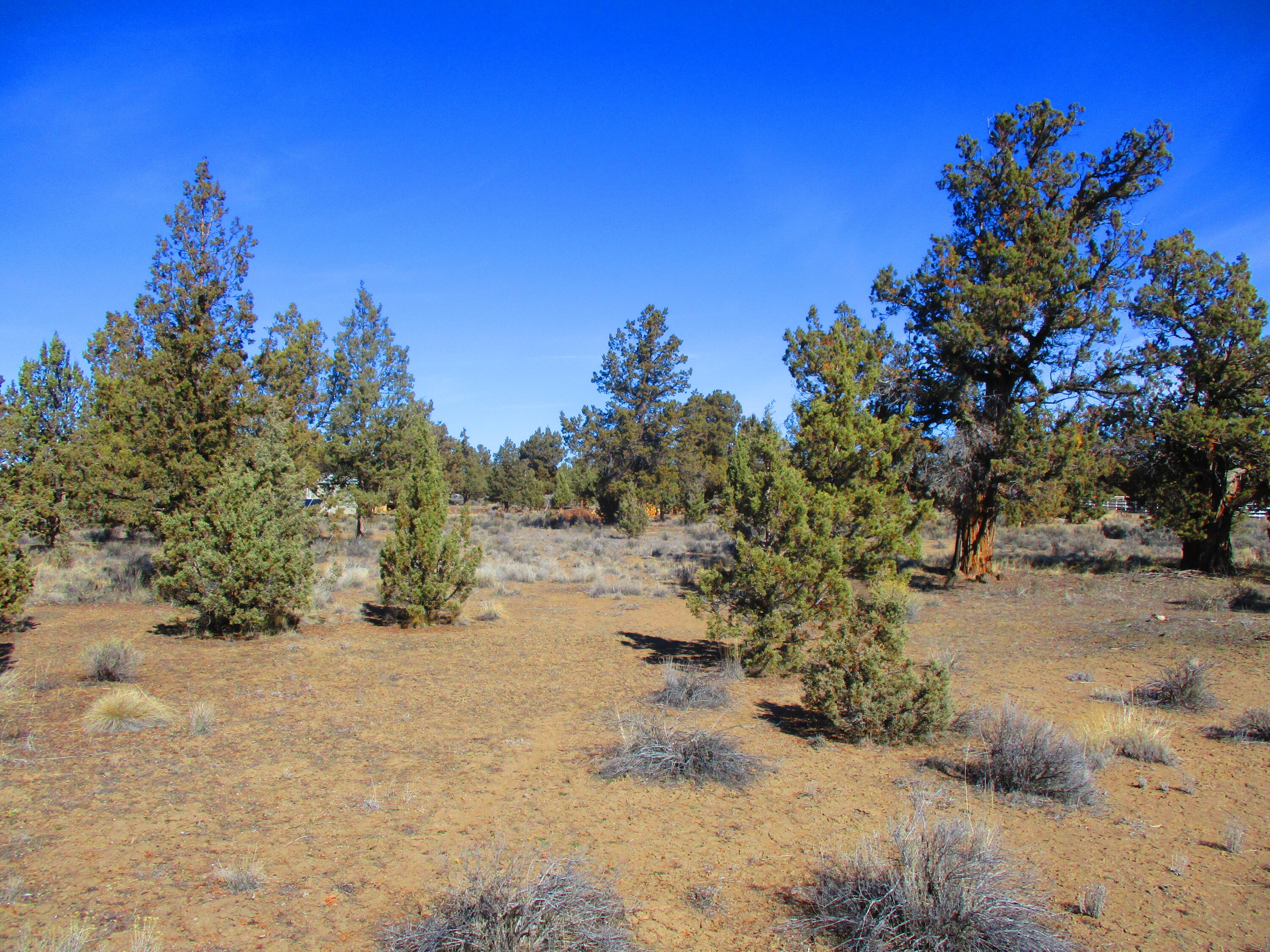Tl1700 Southeast Mohawk Road Prineville, OR 97754 - Photo 16 of 21 17