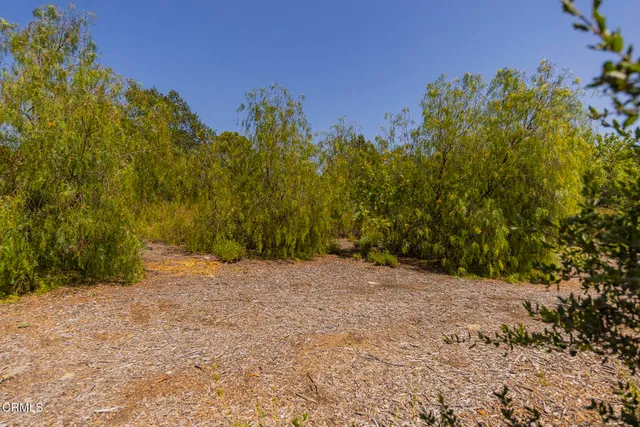 a view of a yard with a house