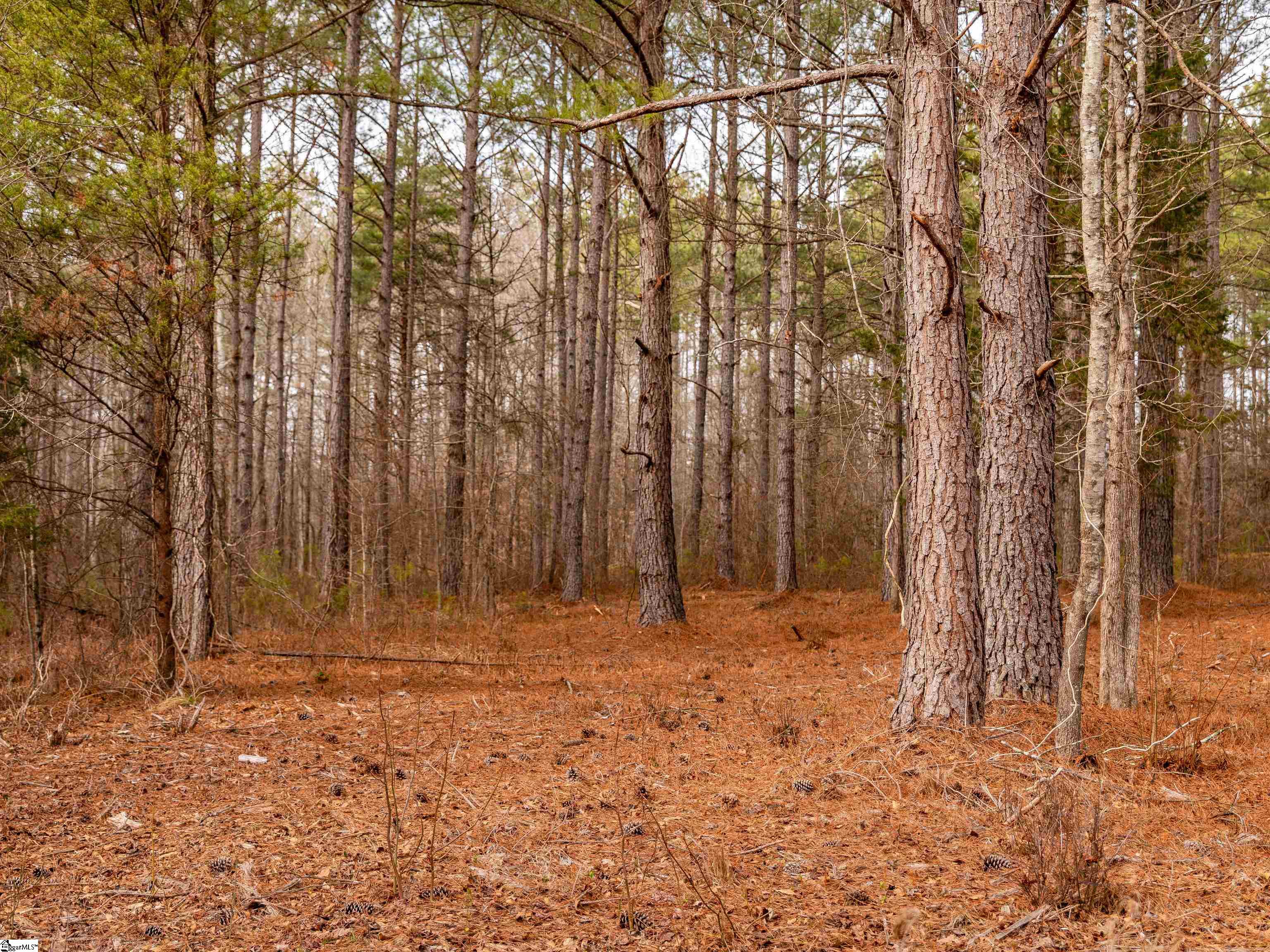 13 Mill Pine Road Liberty, SC 29657 - Photo 12 of 22 Gallery Image 12