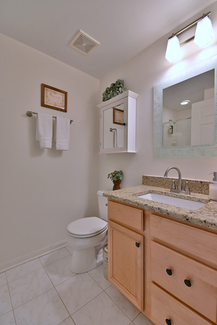 210 North Addison Avenue, Unit 301 Elmhurst, IL 60126 - Photo 25 of 30 a bathroom with a granite countertop toilet sink and mirror