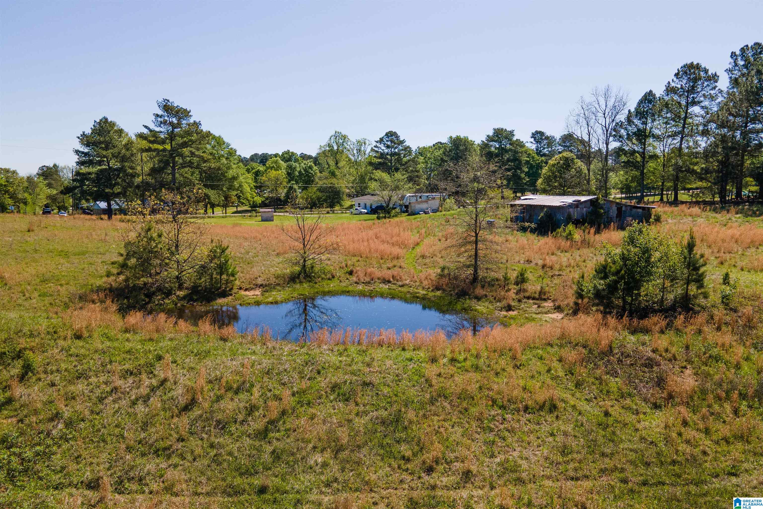 0 Sun Valley Road Harpersville, AL 35078 - Photo 22 of 24