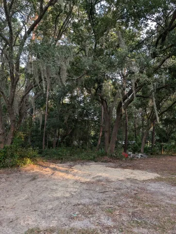a view of a yard with plants and trees