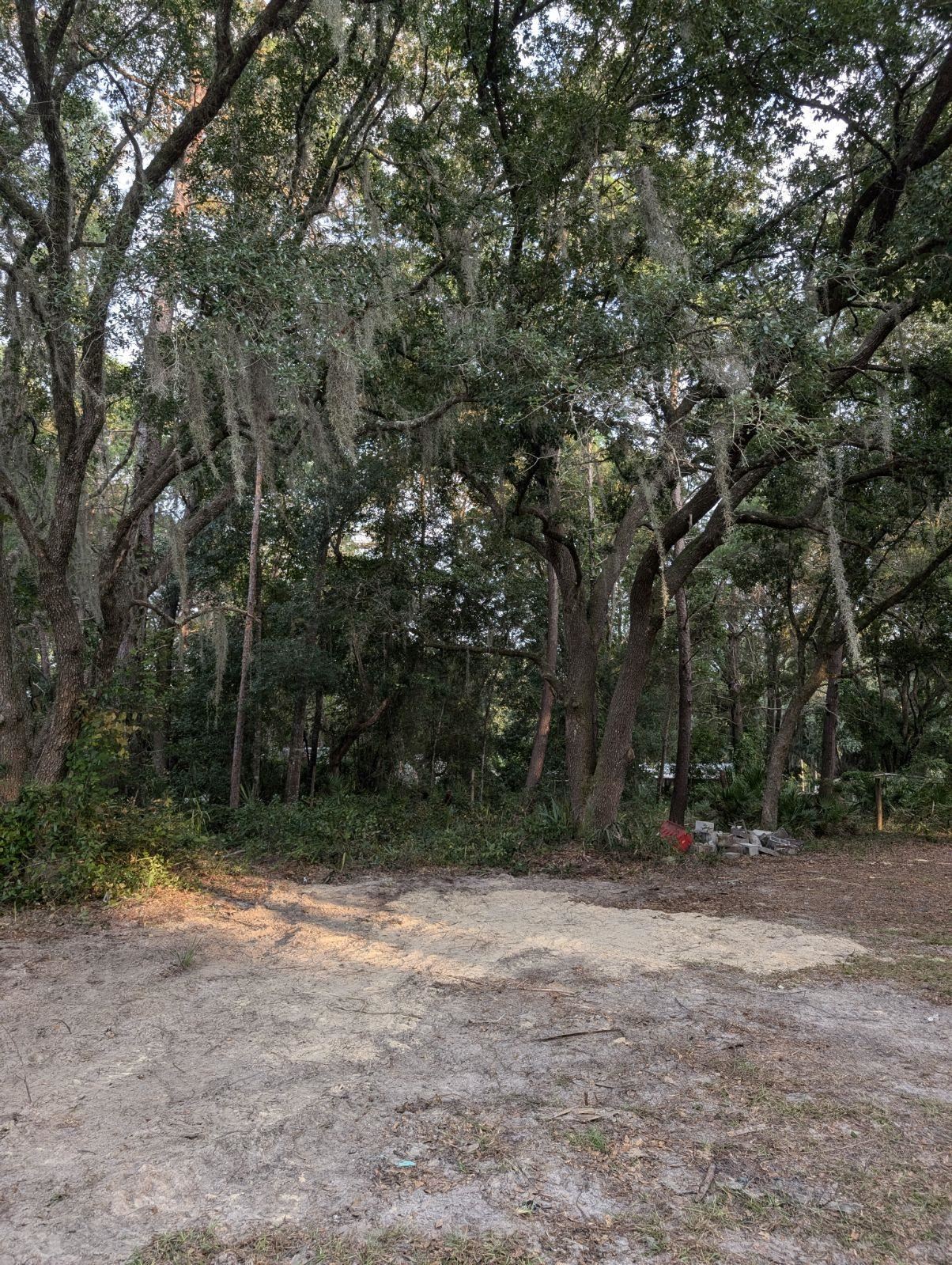 332 Beecher Springs Road Welaka, FL 32112 - Photo 12 of 19 a view of outdoor space and yard
