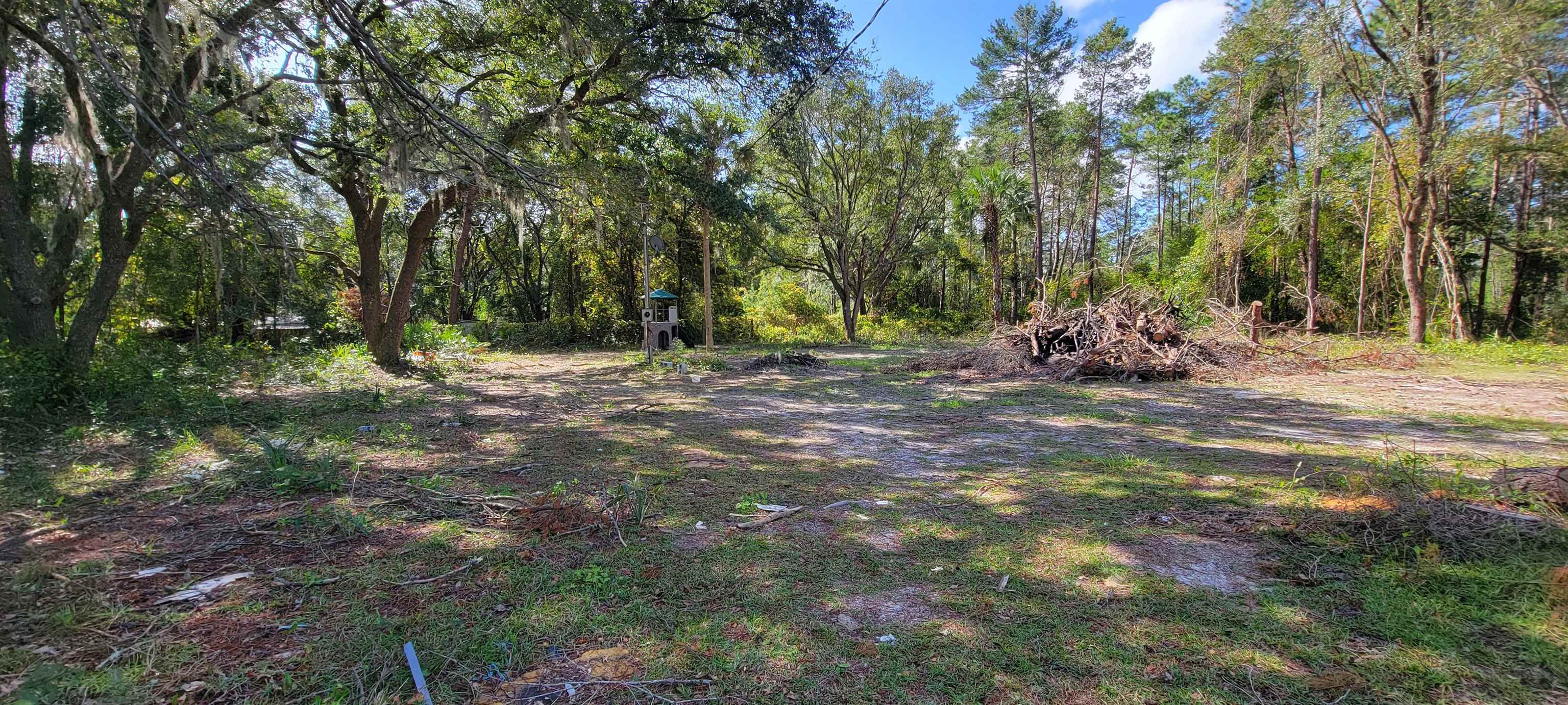 332 Beecher Springs Road Welaka, FL 32112 - Photo 15 of 19 a view of a fire pit with large trees
