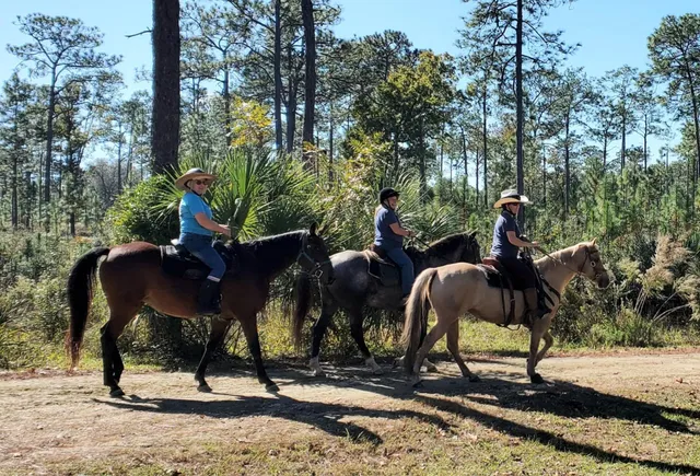 $39,500 | 332 Beecher Springs Road, Welaka, FL 32112