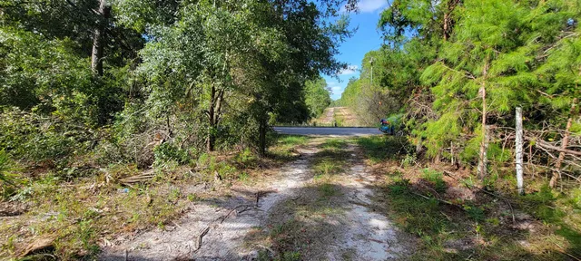 a view of outdoor space and trees