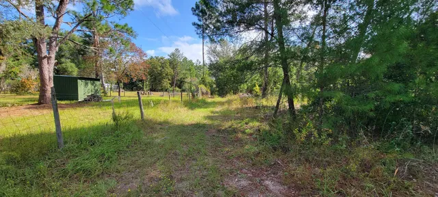 a view of yard with green space