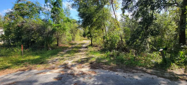 a view of a green field with trees