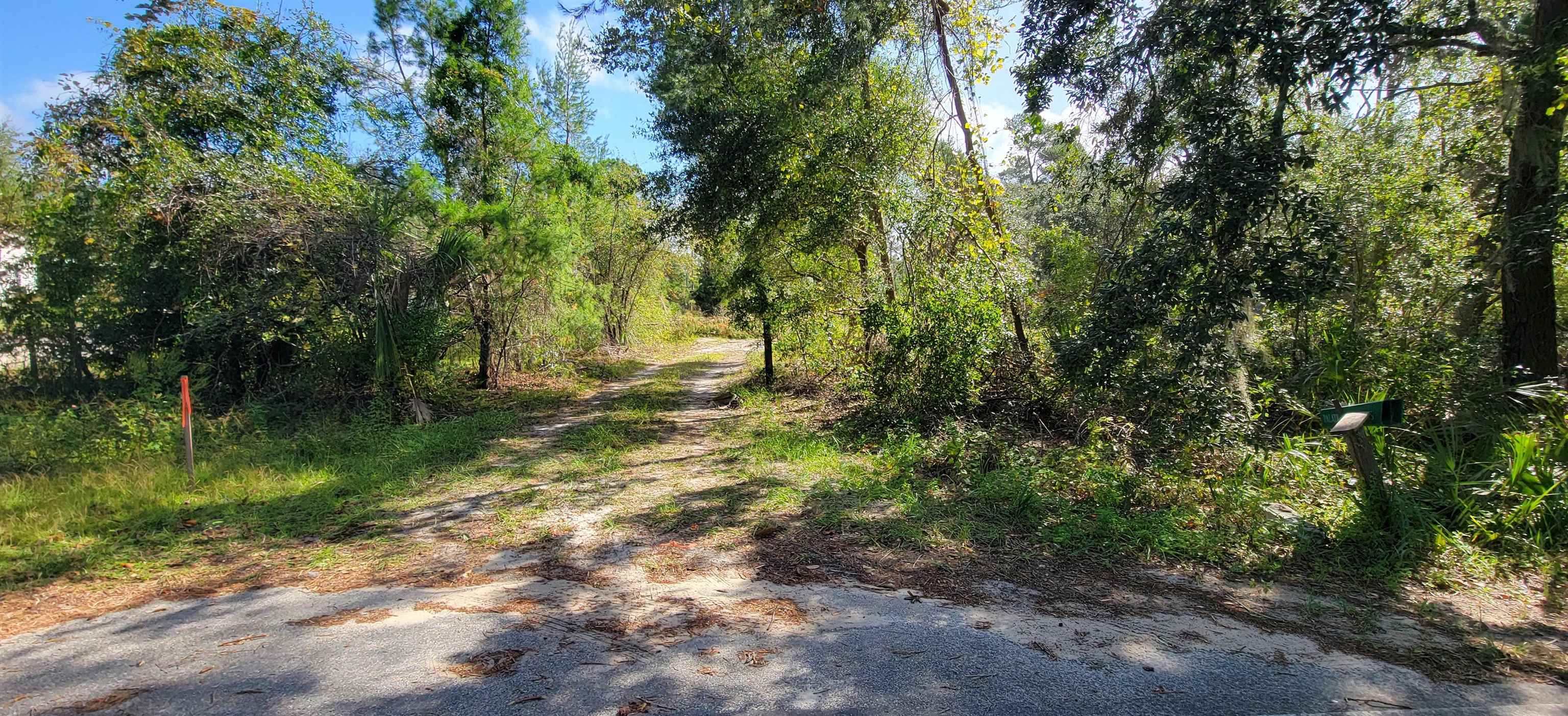 332 Beecher Springs Road Welaka, FL 32112 - Photo 7 of 19