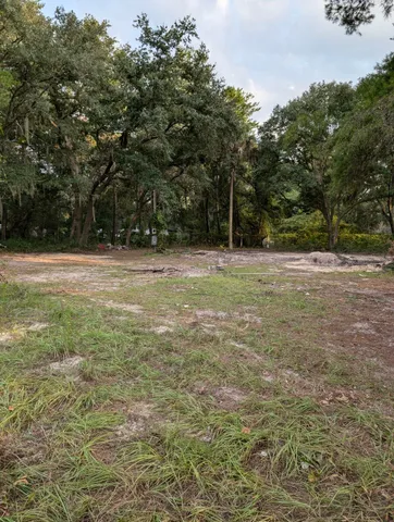 a view of a yard with a tree