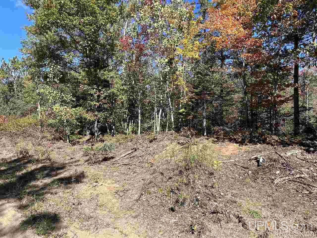 4091 Hiawatha Station Road Manistique, MI 49854 - Photo 23 of 24