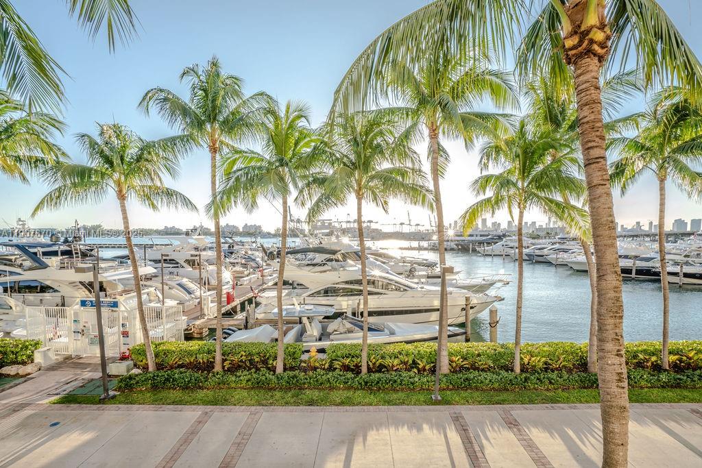 a view of outdoor space with palm trees