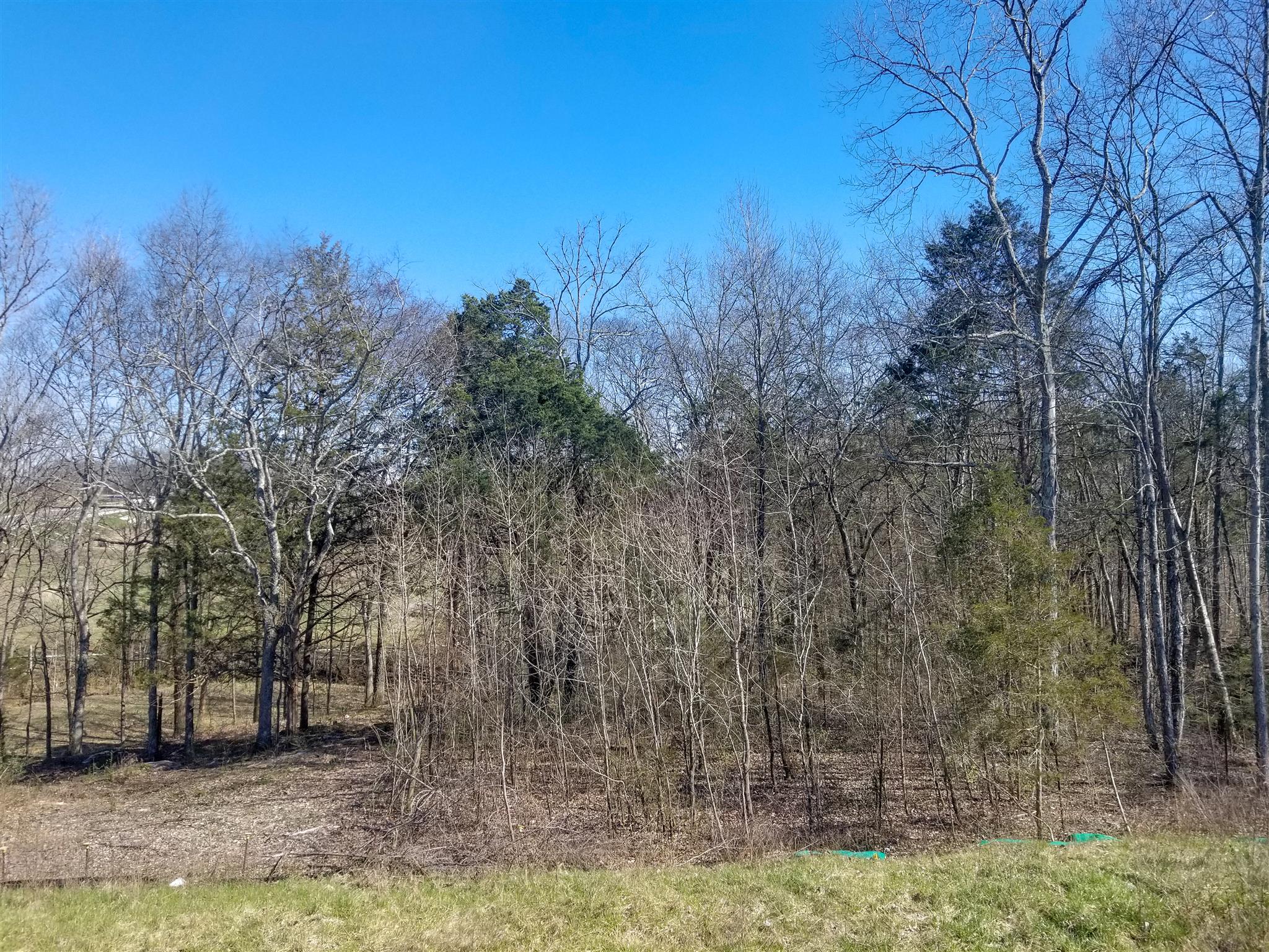 405 Butler Road Mount Juliet, TN 37122 - Photo 5 of 6 Beautiful view out of your master bedroom window.