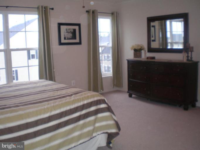 9150 Ribbon Falls Loop Bristow, VA 20136 - Photo 11 of 21 Master Bedroom #2