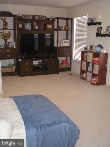 9150 Ribbon Falls Loop Bristow, VA 20136 - Photo 3 of 21 Recreation Room