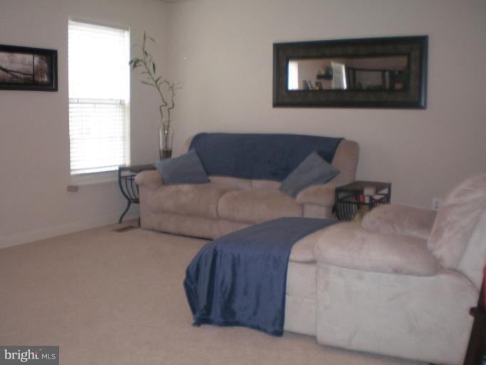 9150 Ribbon Falls Loop Bristow, VA 20136 - Photo 4 of 21 Recreation Room #2