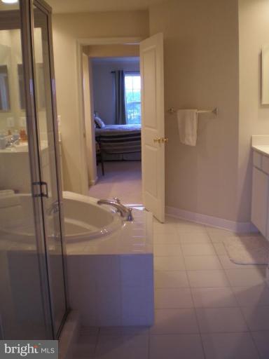 9150 Ribbon Falls Loop Bristow, VA 20136 - Photo 7 of 21 Master Bath