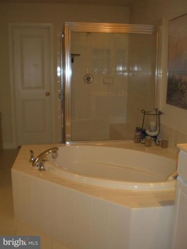 9150 Ribbon Falls Loop Bristow, VA 20136 - Photo 8 of 21 Master Bath #2