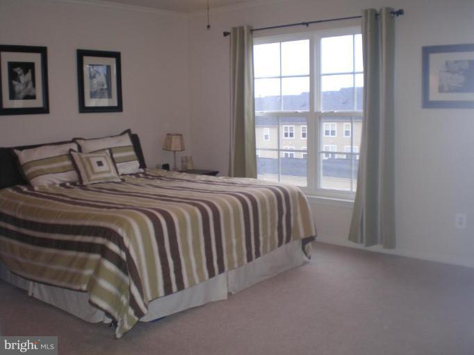 9150 Ribbon Falls Loop Bristow, VA 20136 - Photo 10 of 21 Master Bedroom