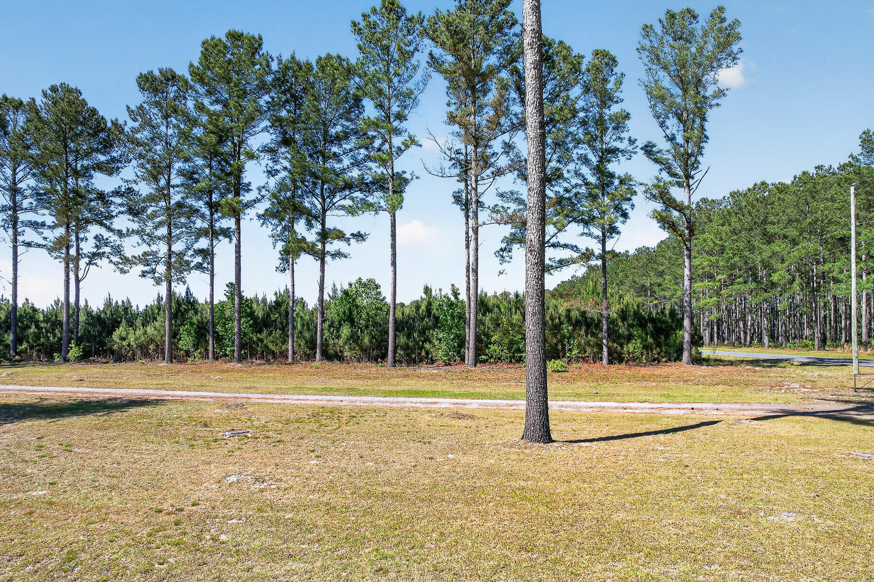 502 State Rd S-5-459 Lodge, SC 29082 - Photo 2 of 66 HU-5