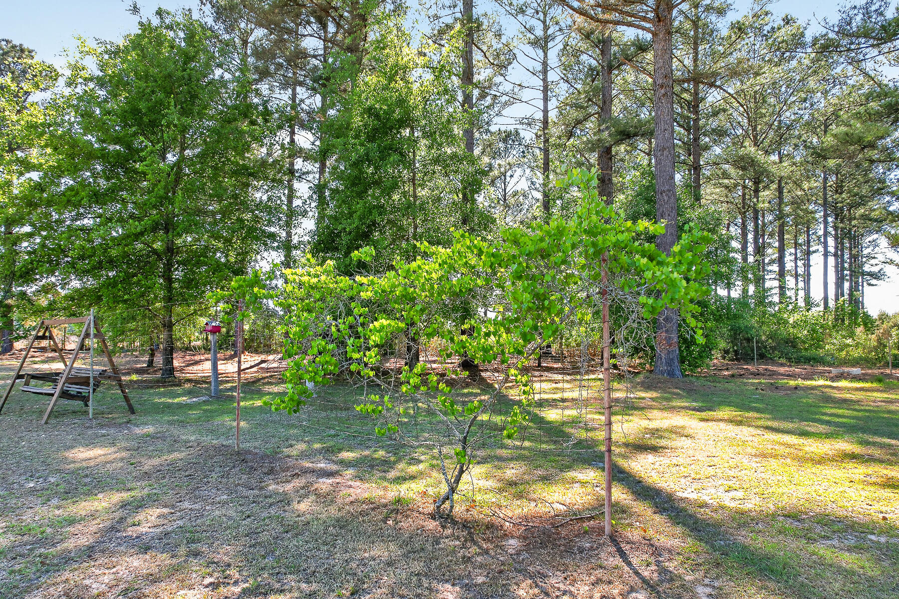 502 State Rd S-5-459 Lodge, SC 29082 - Photo 37 of 66 HU-89