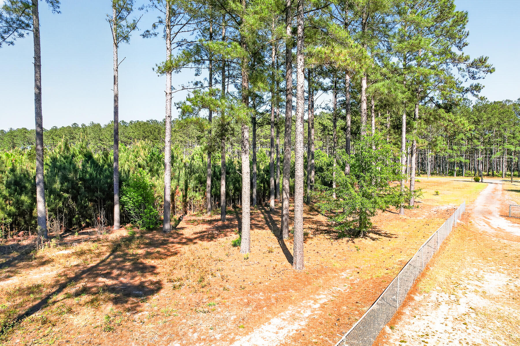 502 State Rd S-5-459 Lodge, SC 29082 - Photo 47 of 66 HU-106