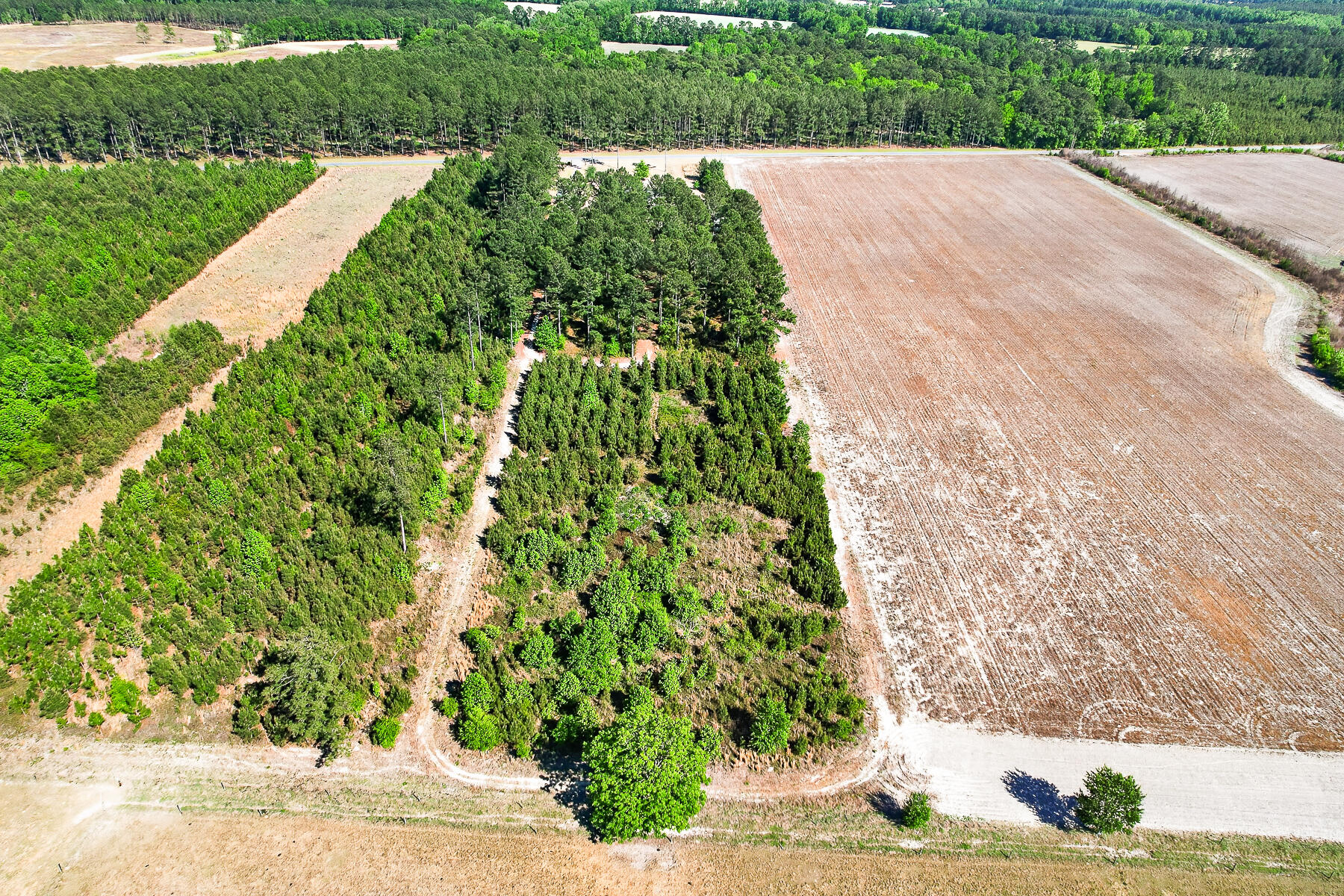 502 State Rd S-5-459 Lodge, SC 29082 - Photo 50 of 66 HU-109