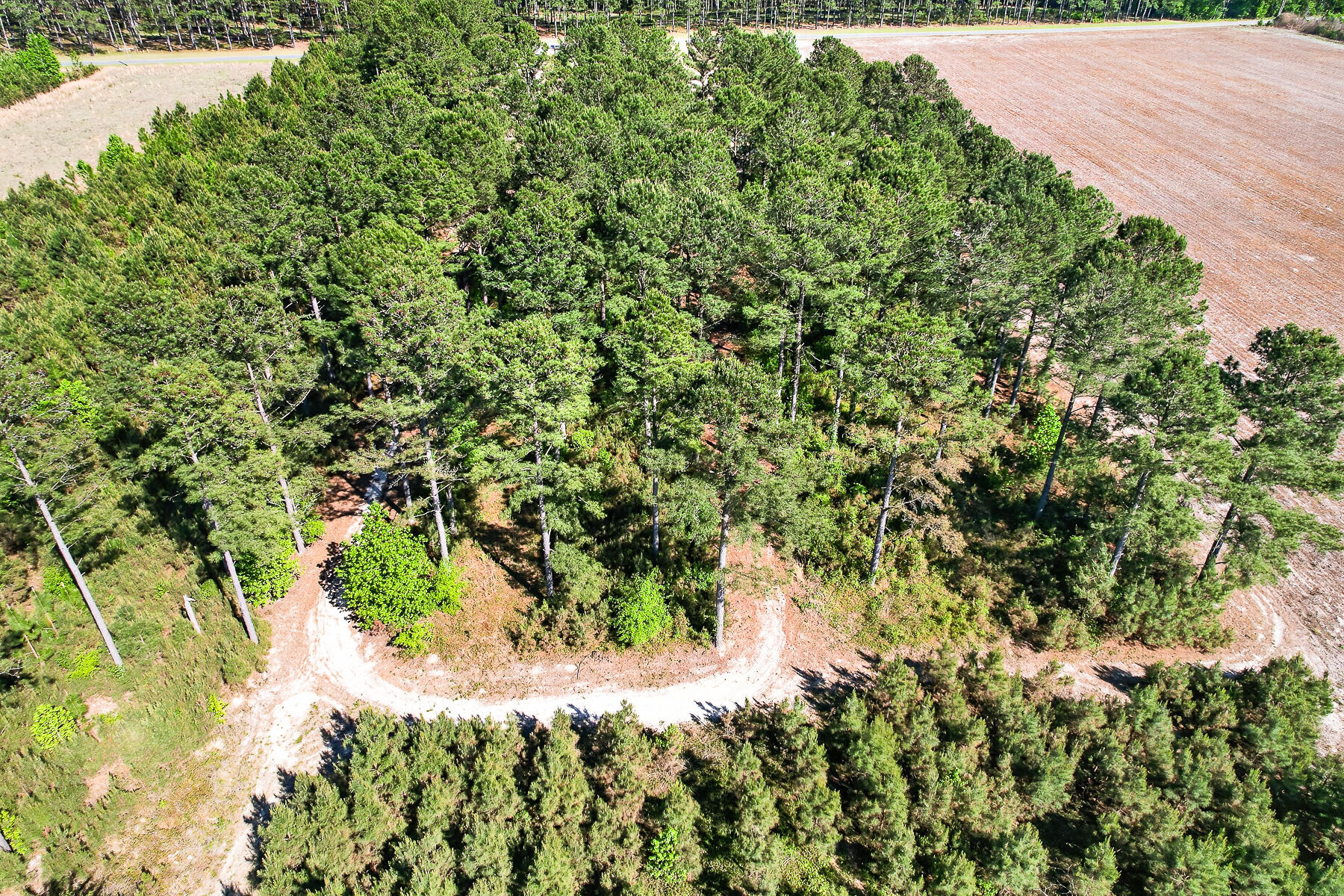 502 State Rd S-5-459 Lodge, SC 29082 - Photo 52 of 66 HU-111