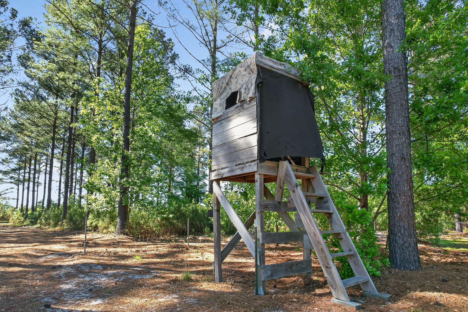 502 State Rd S-5-459 Lodge, SC 29082 - Photo 55 of 66 HU-116