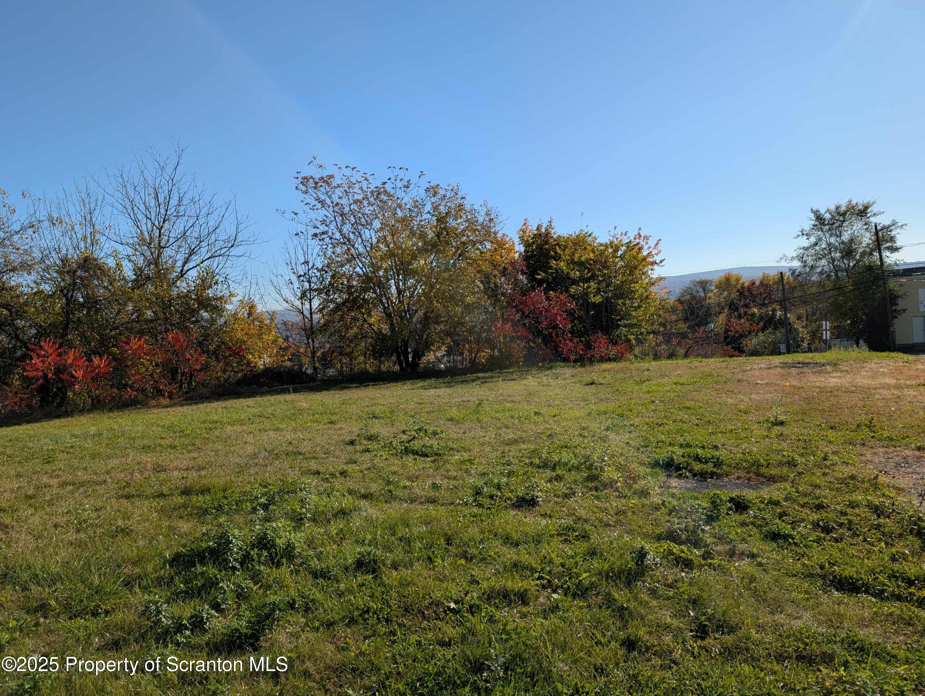 a view of a field with an trees