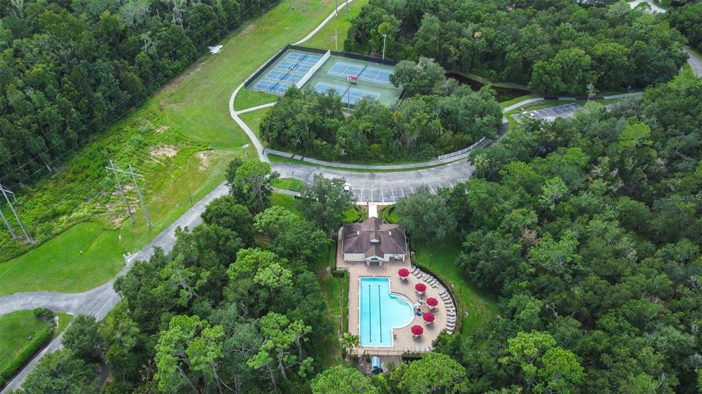 17012 Falconridge Road Lithia, FL 33547 - Photo 87 of 100 Gallery Image 87