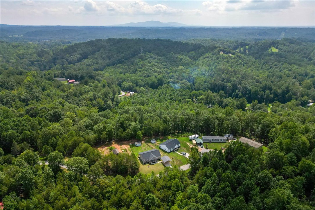 67 Sawblade Ridge Marietta, SC 29661 - Photo 28 of 37 This elevated view captures a serene residential clearing nestled amidst lush, expansive woodlands.