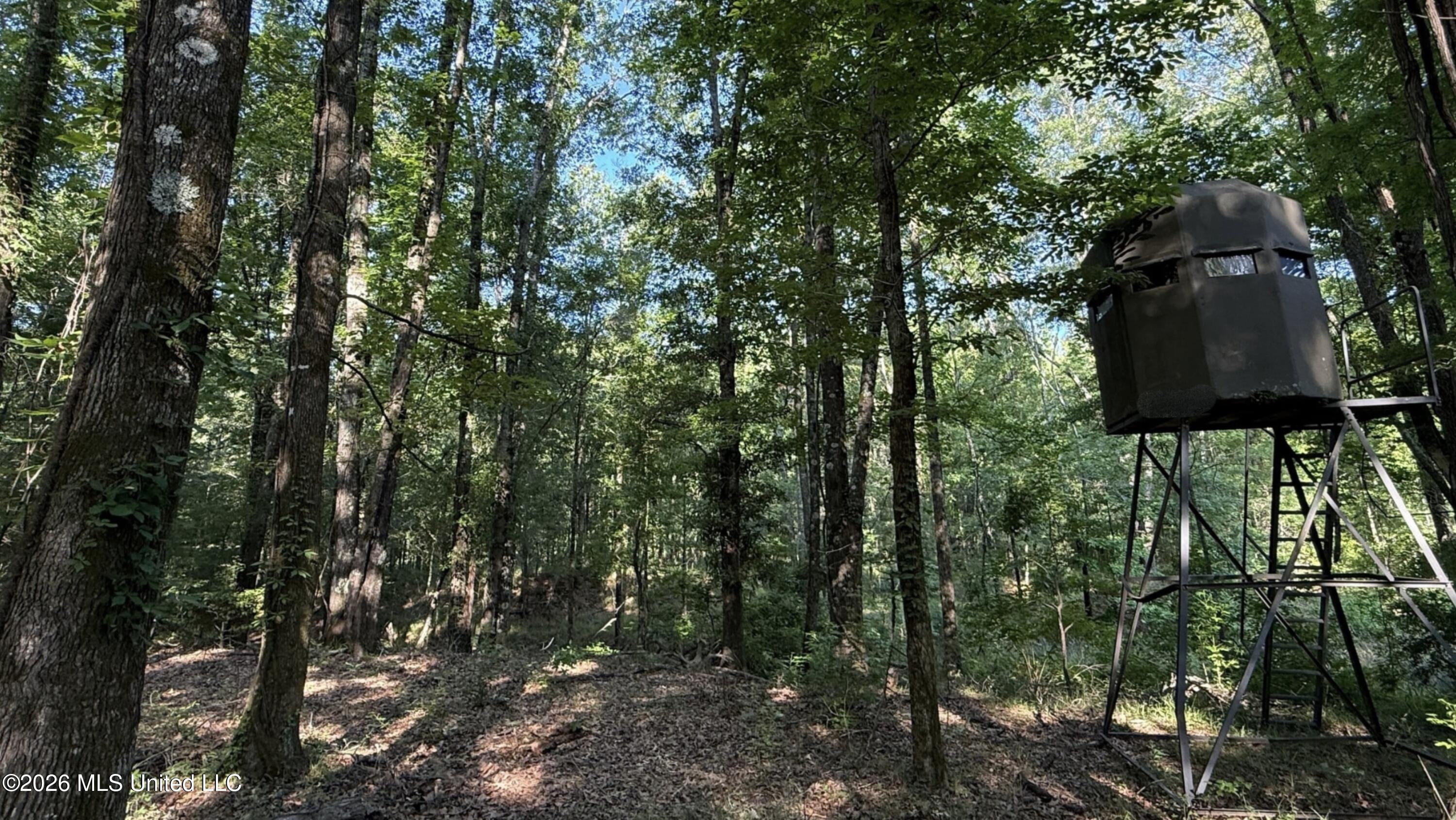 1359 Loring Rd Exd Camden, MS 39045 - Photo 87 of 91 343