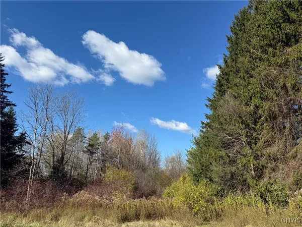 $24,900 | 0 Clark Mills Road, Whitestown, NY 13492