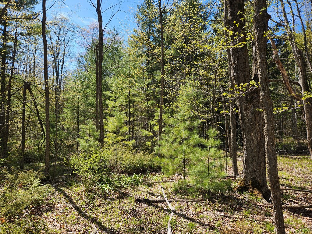 Tbd Old Stage Road Sister Bay, WI 54234 - Photo 4 of 13