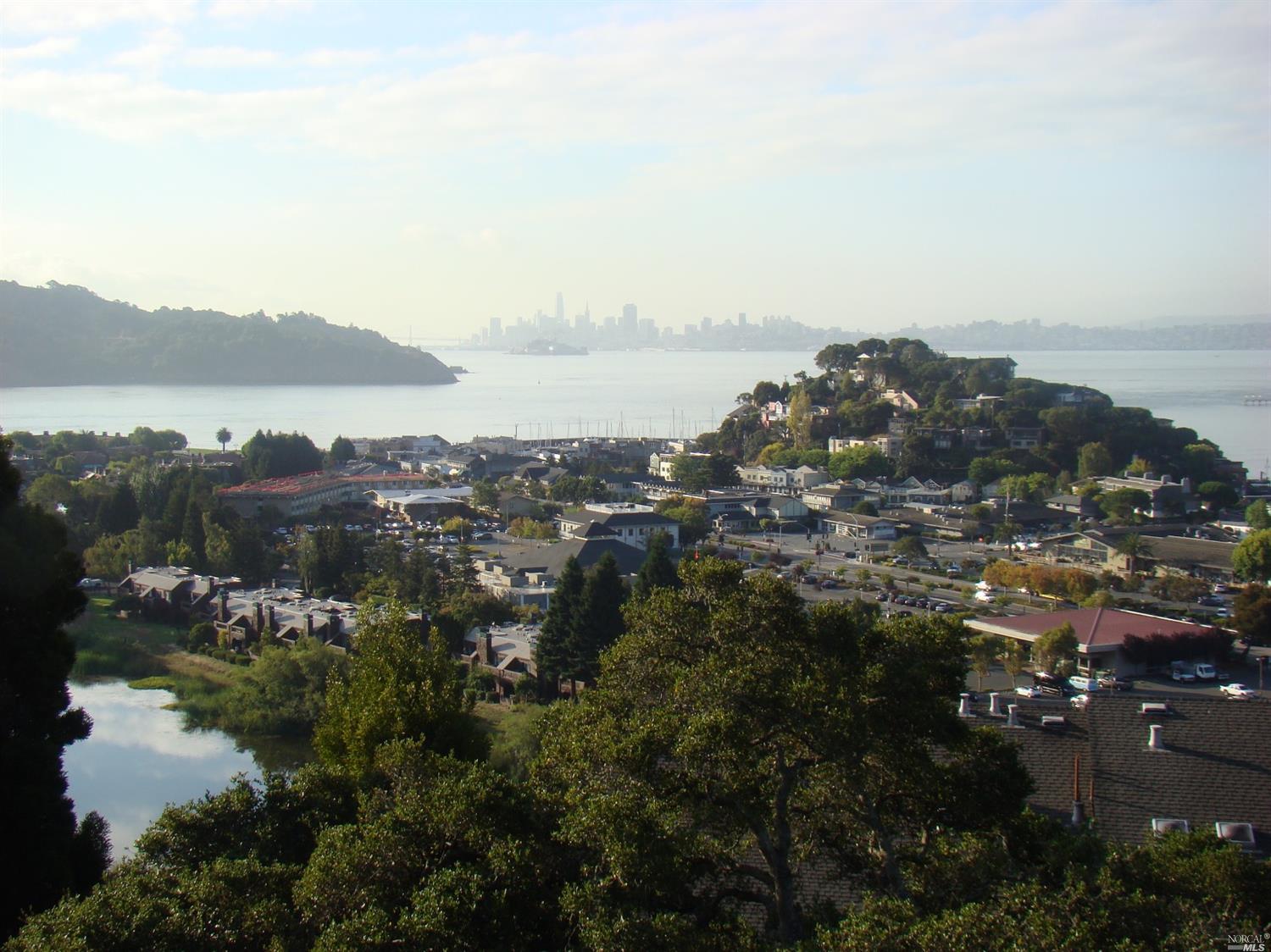 a view of lake and city