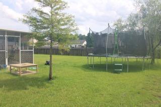 371 Dunning Road Summerville, SC 29486 - Photo 5 of 16 IMG950995
