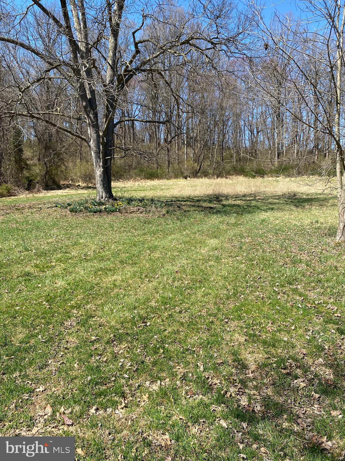 1609 Kimberton Road Chester Springs, PA 19425 - Photo 29 of 30 yard