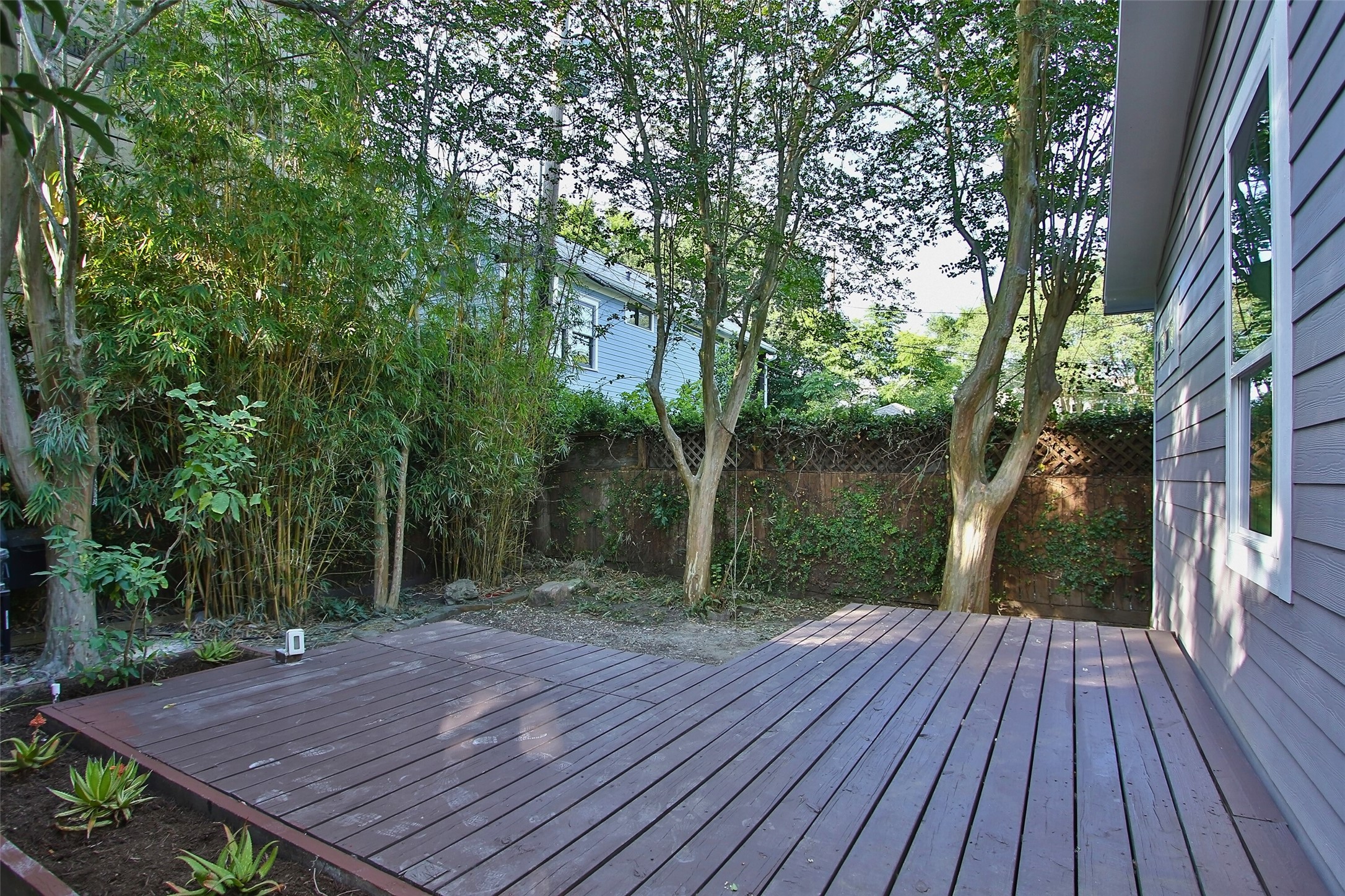 1818 Haver Street Houston, TX 77006 - Photo 23 of 28 a view of backyard with green space