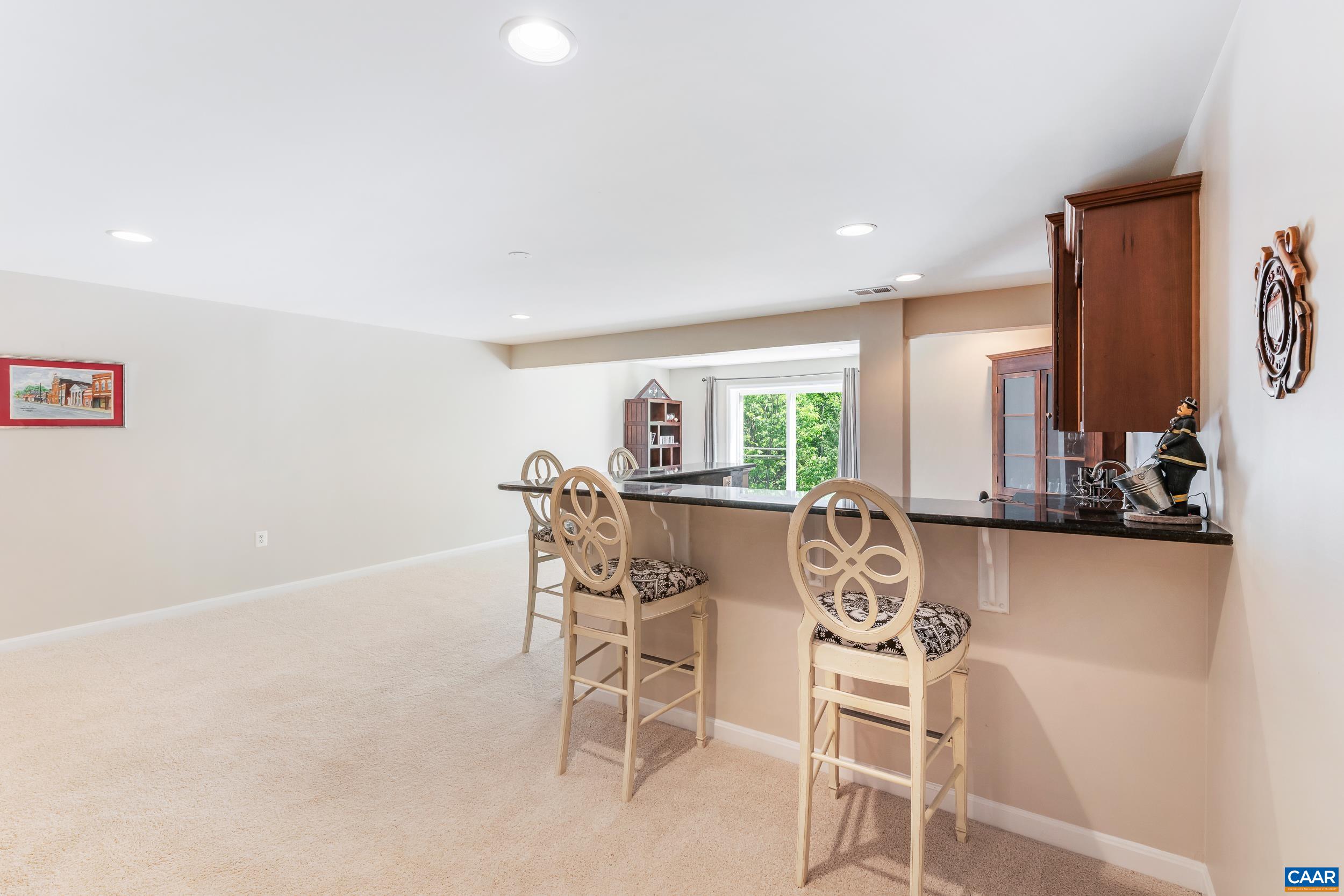 329 John Rucker Drive Ruckersville, VA 22968 - Photo 41 of 75 Wet Bar