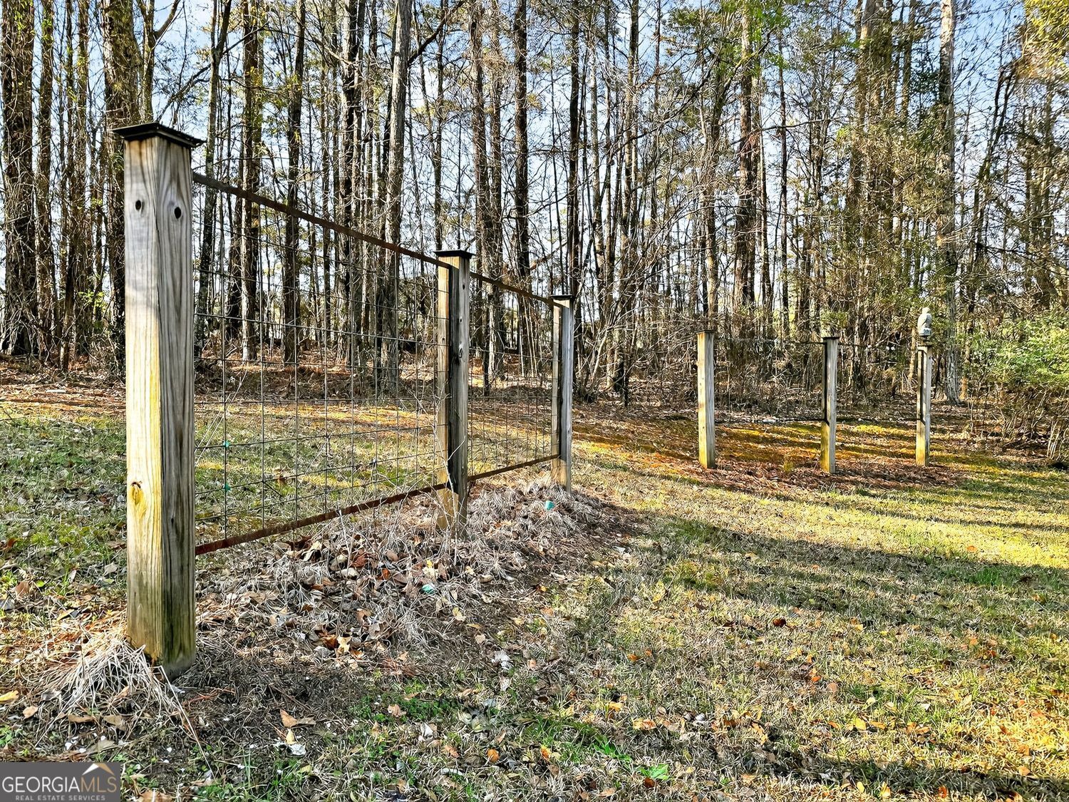 206 Jack Maddox Bridge Road Jackson, GA 30233 - Photo 34 of 38 a view of a backyard