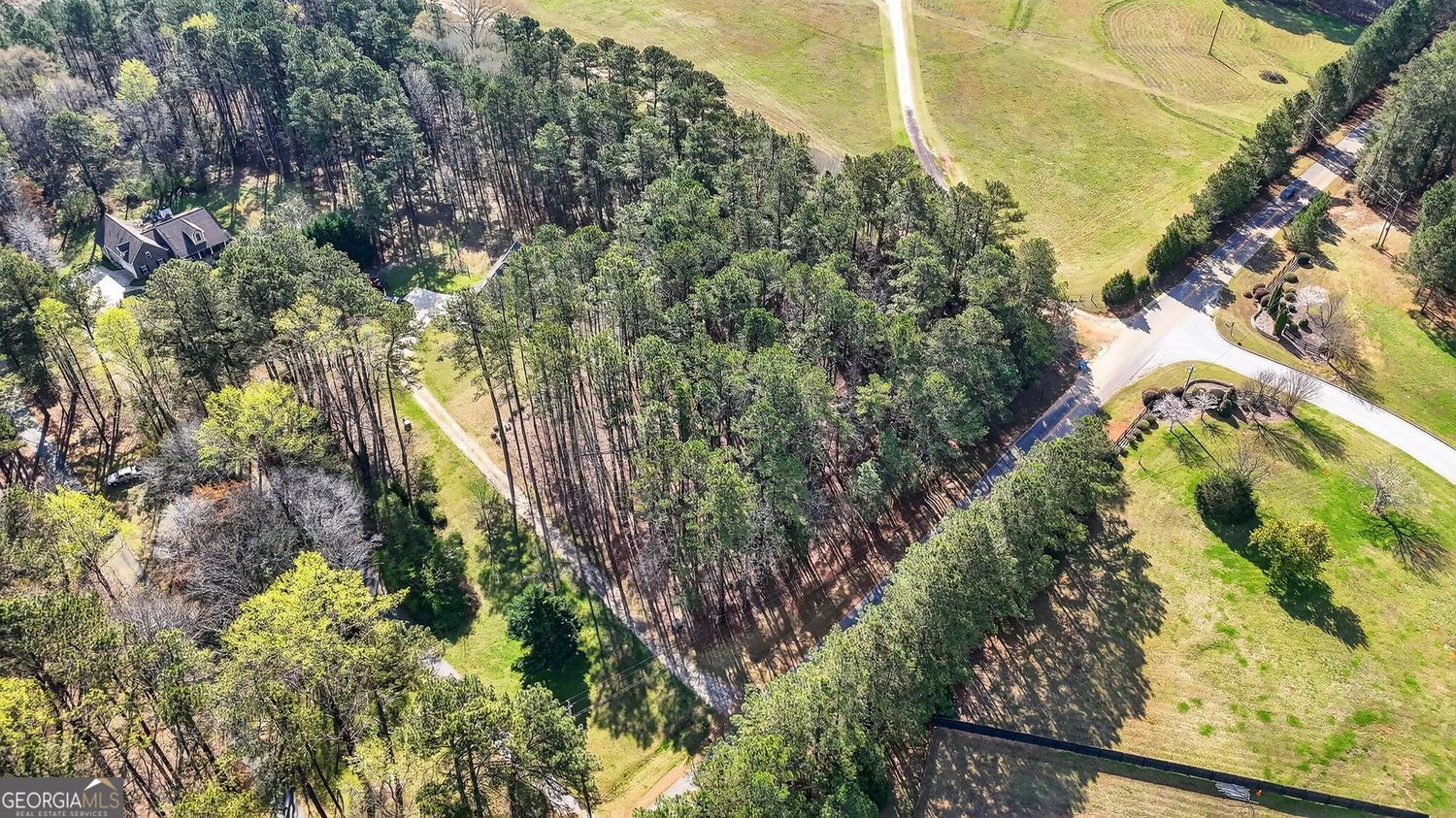 206 Jack Maddox Bridge Road Jackson, GA 30233 - Photo 37 of 38 a plant that is in a garden