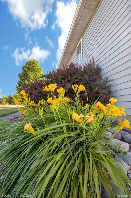 62580 Omo Road New Haven, MI 48048 - Photo 37 of 42 House_Omo-25.jpg