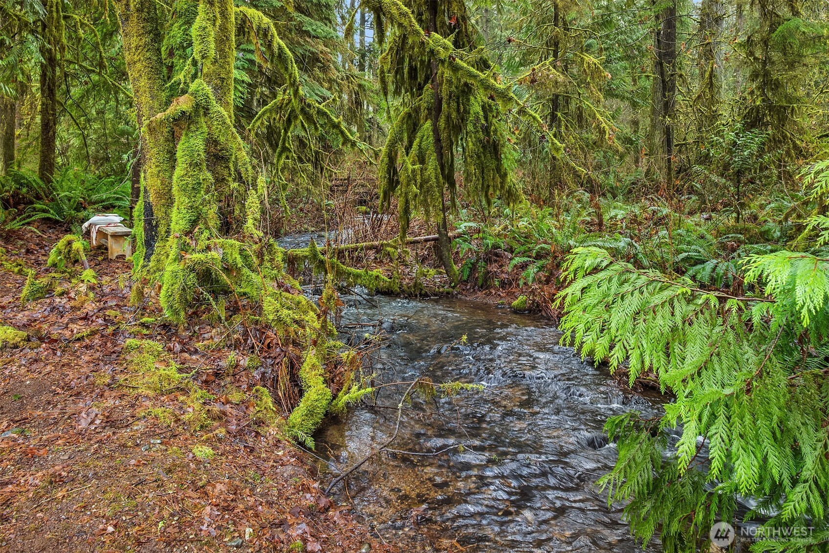16109 Kelly Road Northeast Duvall, WA 98019 - Photo 39 of 40