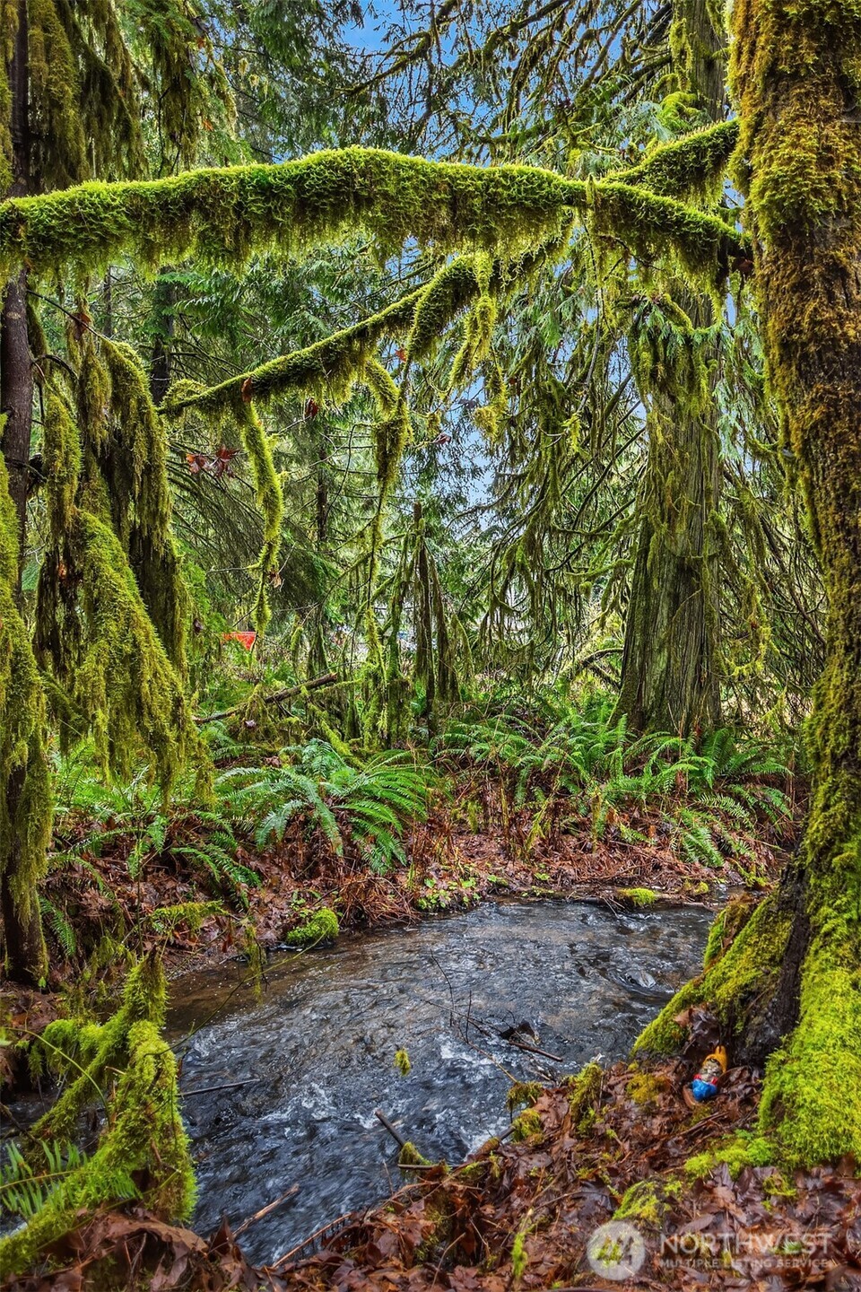 16109 Kelly Road Northeast Duvall, WA 98019 - Photo 8 of 40