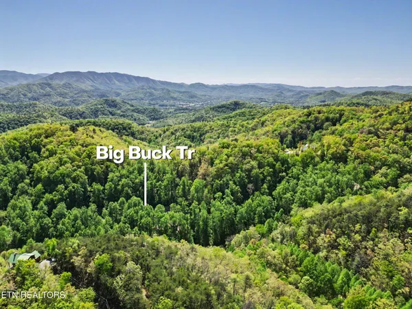 $300,000 | 1017-1035 Big Buck Trail, Townsend, TN 37882