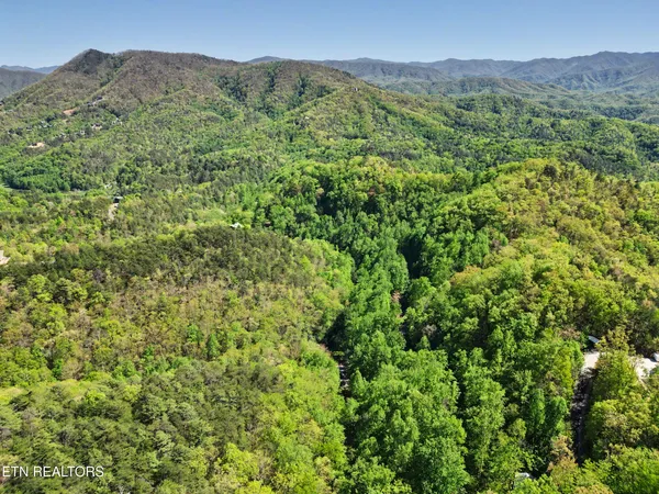 $300,000 | 1017-1035 Big Buck Trail, Townsend, TN 37882