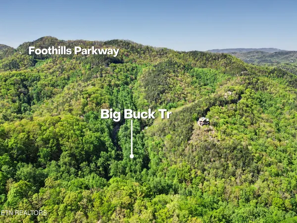 $300,000 | 1017-1035 Big Buck Trail, Townsend, TN 37882